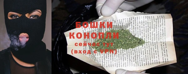 стафф Елизово
