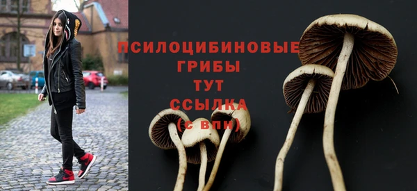 MDMA Гусь-Хрустальный