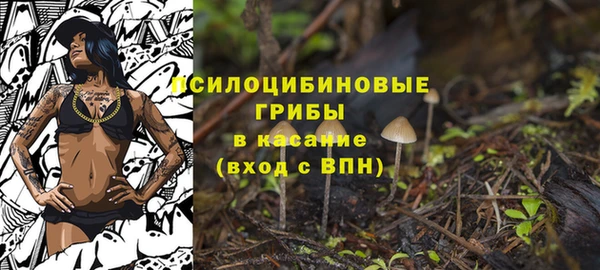 mdma Гусев