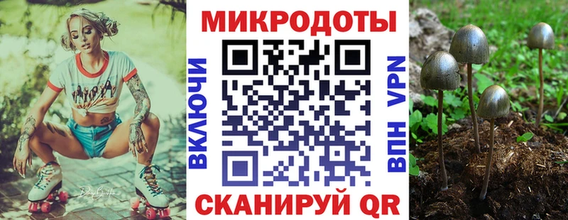 Галлюциногенные грибы мухоморы  Купить закладки  Каменногорск 
