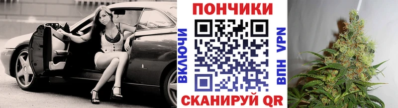 Купить закладки  Каменногорск  Конопля индика 